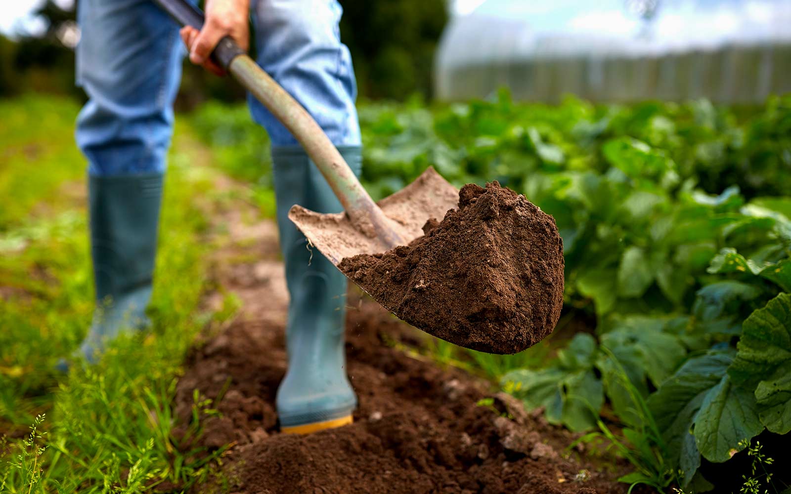 Image employeurs agricoles
